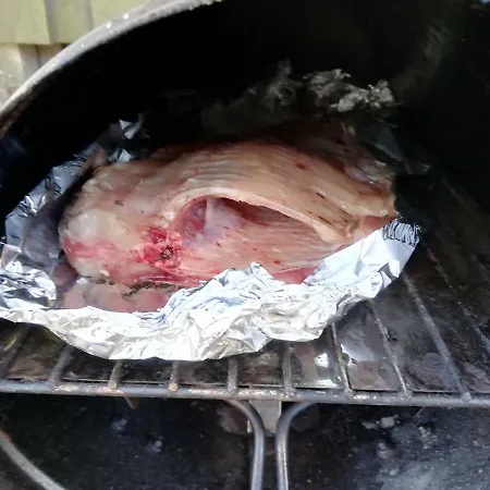 Hirvemae Camp 홀리데이파크 Värska